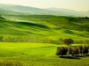Green countryside