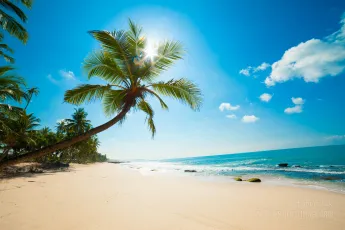 Untouched tropical beach