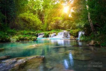 Deep forest waterfall