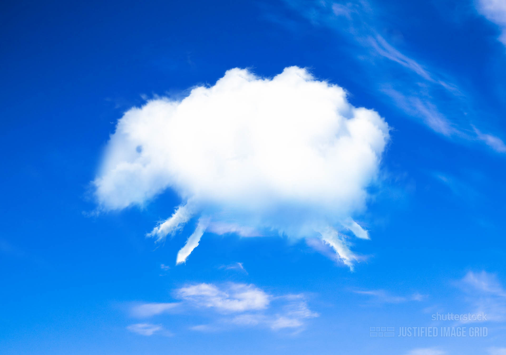 Подобно туче. На что похожи облака. Облака похожие на животных. Облака в виде зверей. На что похоже облако.