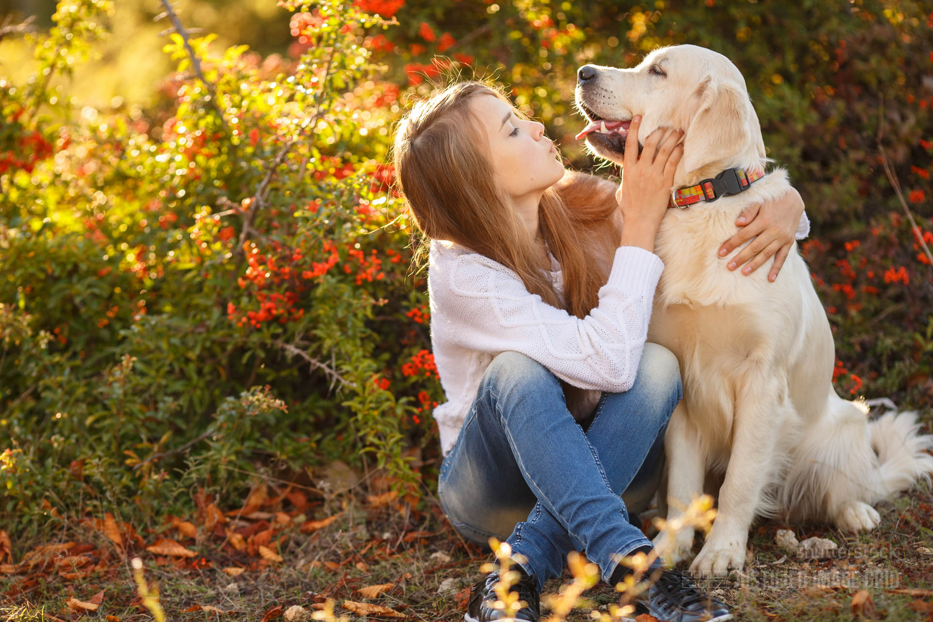 sitting with a girl in an autumn scene - i Woman, Dog, Human Animal Connect...