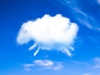 Sheep cloud