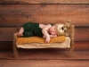 Portrait of a newborn baby boy