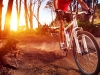 Mountain biker