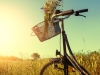 Bicycle in a field