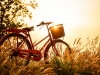 Bicycle at sunset