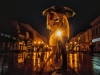 Couple kissing under an umbrella