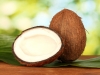 Coconut with green leaf