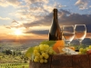 White wine with barrel