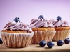 Blueberry cupcakes