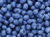 Freshly picked blueberries
