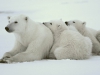 Just chillin