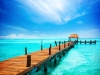 Paradise