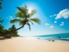 Untouched tropical beach