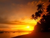 Sandy beach with palm trees at sunset