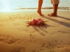 Couple in the sand