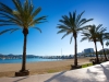 Balearic beach with palm trees