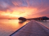 Beautiful sunset