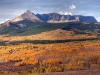 Autumn colors