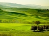 Green countryside