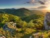 Mountain forest