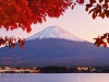 Mt. Fuji