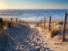 Path to North sea beach