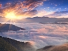 Misty morning