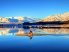 Reflections