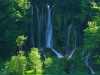 Wonderfully green