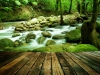 Wood floor perspective