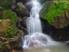 Beautiful deep forest waterfall
