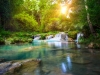 Deep forest waterfall