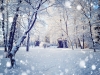 Beautiful winter landscape