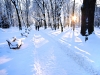 People walking in the beautiful winter park