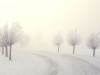 Smooth winter landscape