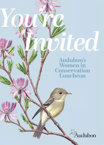 Extremely honored to have parts of my Bog Life of the Northeast illustration featured at this year’s…