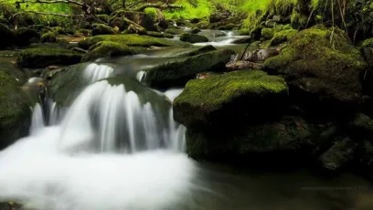 The Water