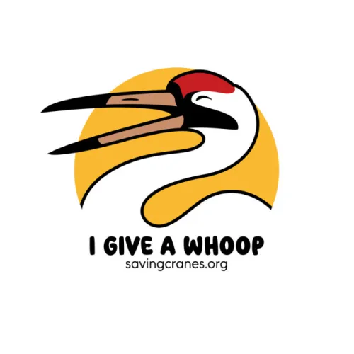 Excited to share the new logo I created for The International Crane Foundation’s “I Give a Whoop”…
