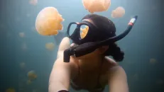 GoPro: Lost in Jellyfish Lake