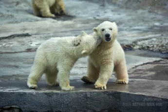 A kiss on the neck