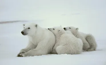 Just chillin