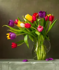 Still life