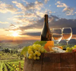 White wine with barrel