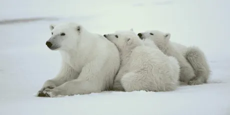 Just chillin