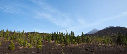 Teide waves goodbye