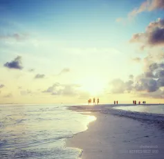 Panorama of beach