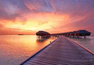 Beautiful sunset
