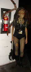 BlizzCon 2007