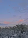 Missing winter